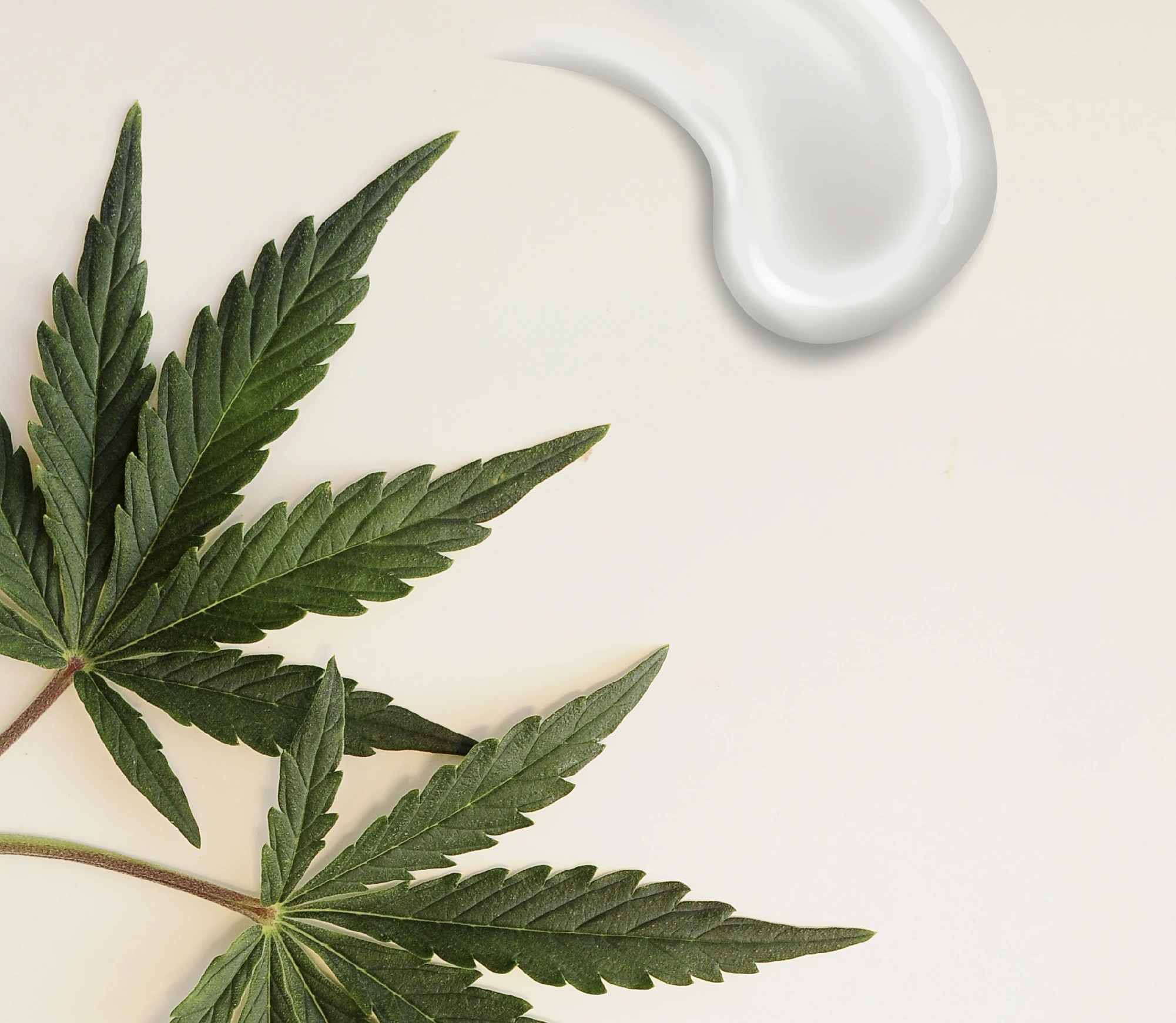 Hemp leaves arranged on a light background next to a smooth white cream texture representing a cosmetic mask formulation.